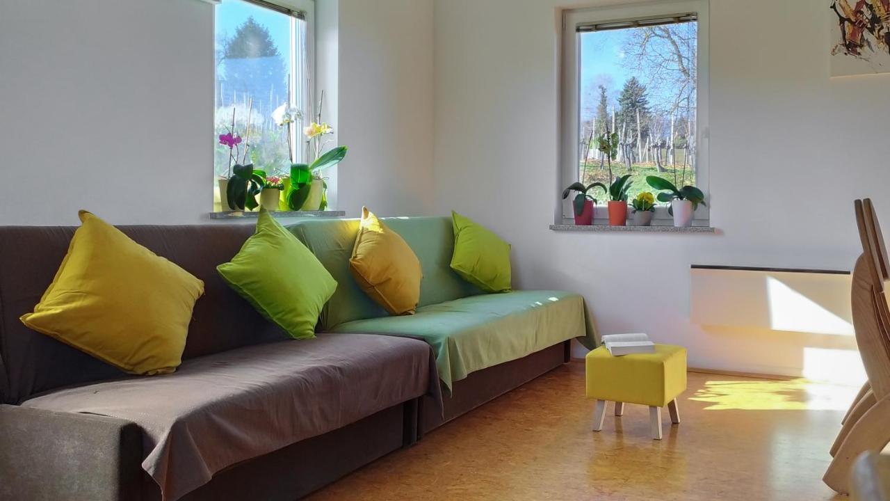Apartments Vinska Trta Catez ob Savi Luaran gambar