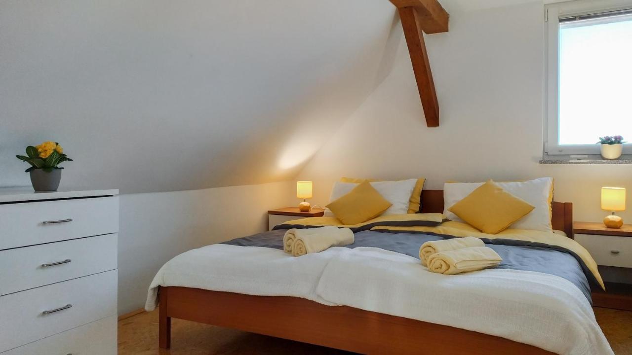 Apartments Vinska Trta Catez ob Savi Luaran gambar